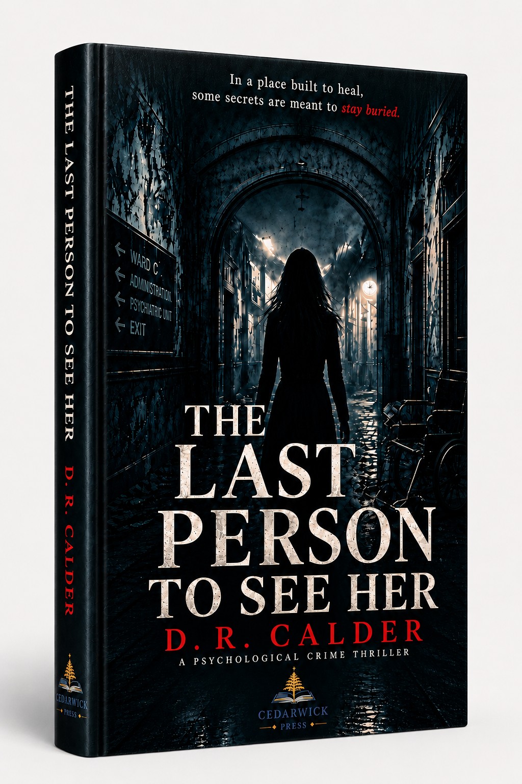 The Last Person to See Her by D. R. Calder